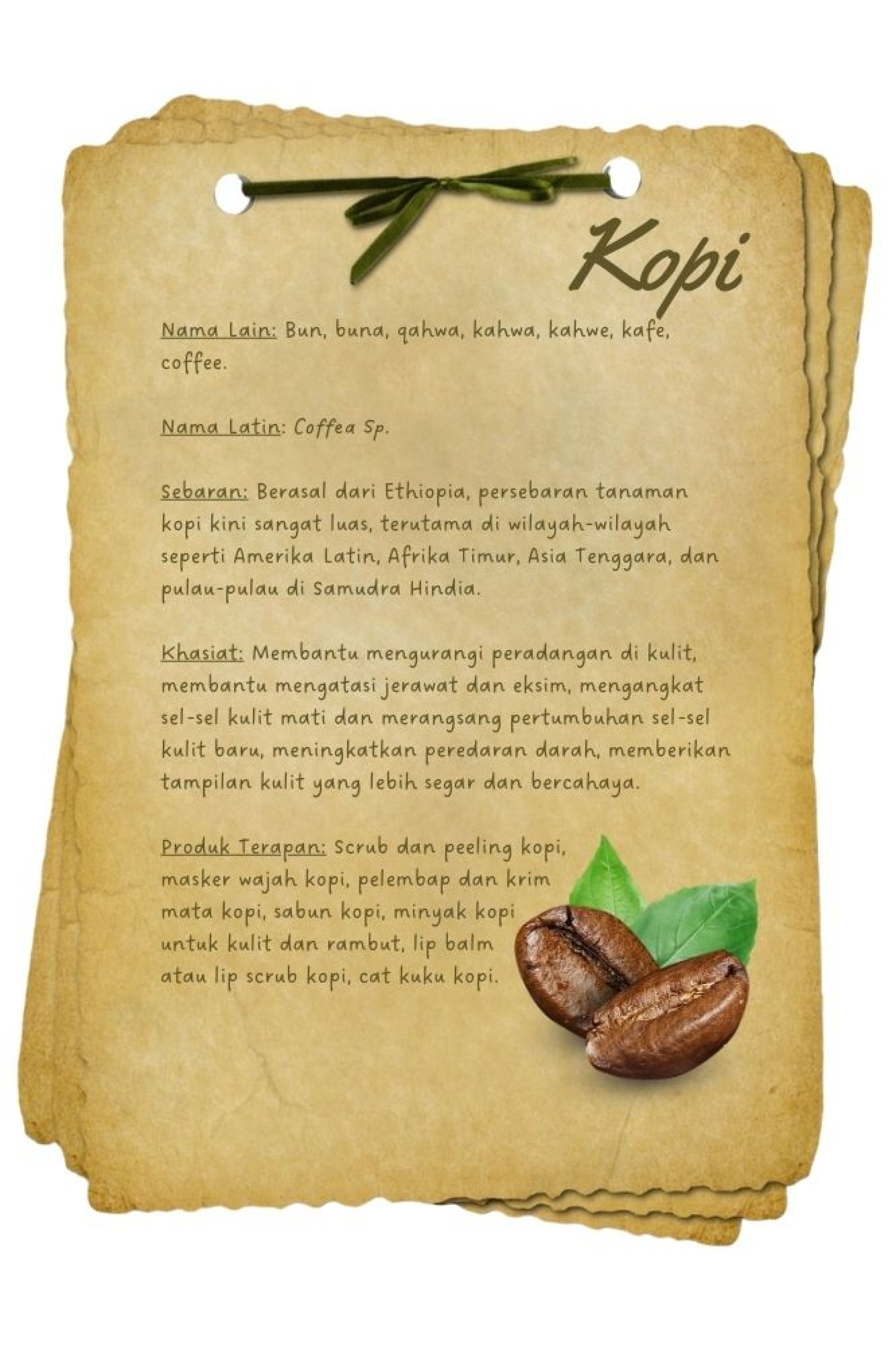 BAHAN AKTIF  kopi cantik - Beautyveristy.jpg